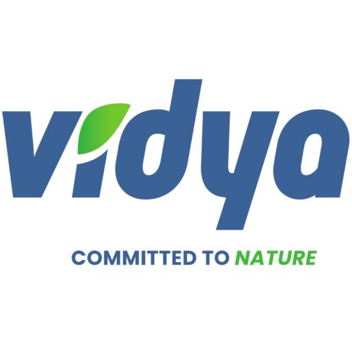 Vidya Retail